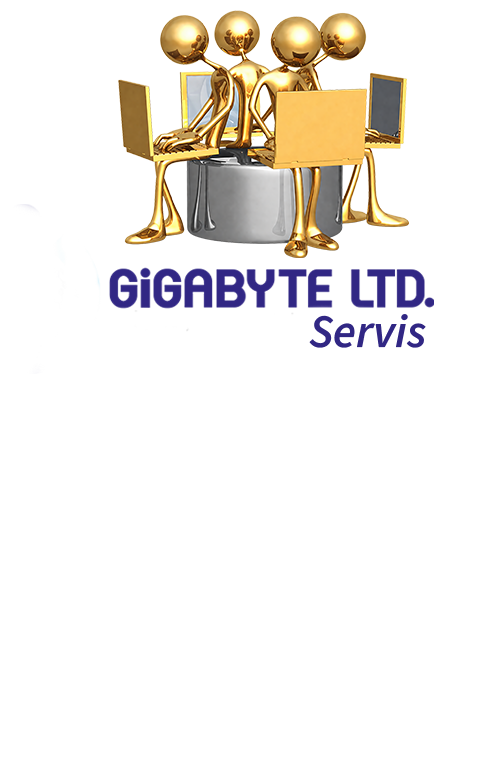 server hosting services